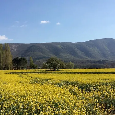 Domaine De La Bastidonne Cereste