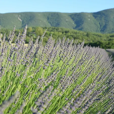 Domaine De La Bastidonne וילה