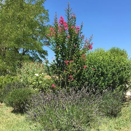 Domaine De La Bastidonne Cereste