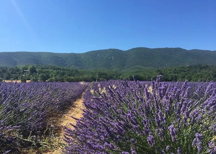 Domaine De La Bastidonne Cereste