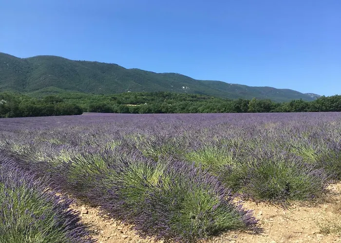 Domaine De La Bastidonne Villa Cereste