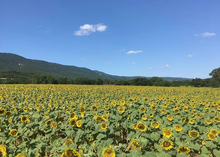 Domaine De La Bastidonne Cereste