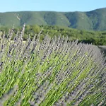 Domaine De La Bastidonne Villa