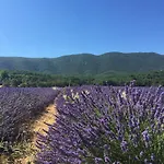Domaine De La Bastidonne Céreste