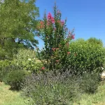 Domaine De La Bastidonne Céreste