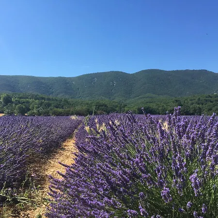 Domaine De La Bastidonne Cereste