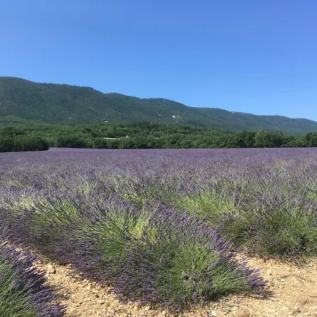 Domaine De La Bastidonne Villa Cereste