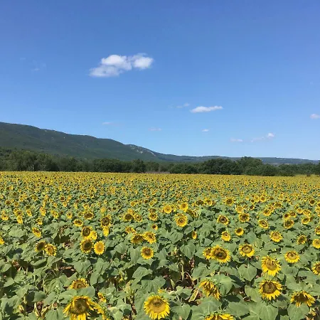 Domaine De La Bastidonne Céreste