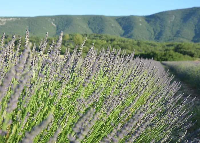 Domaine De La Bastidonne Villa