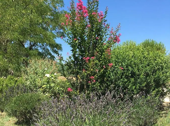 Domaine De La Bastidonne Céreste